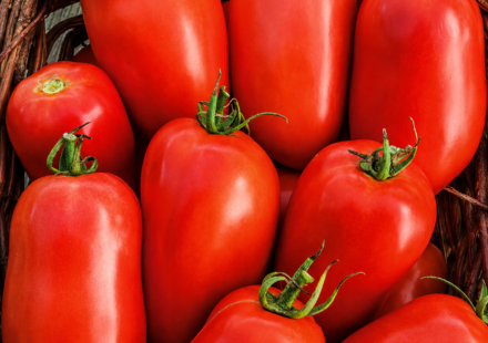 roma tomatoes